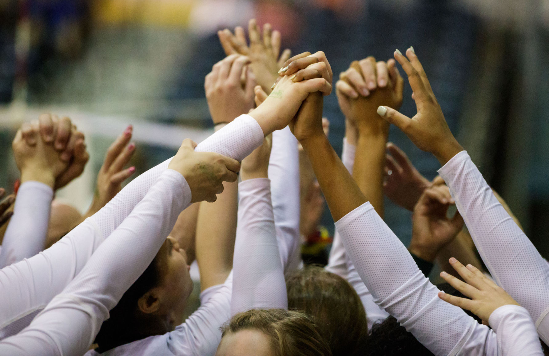 no.volleyballdivisionII.111017.022.JPG